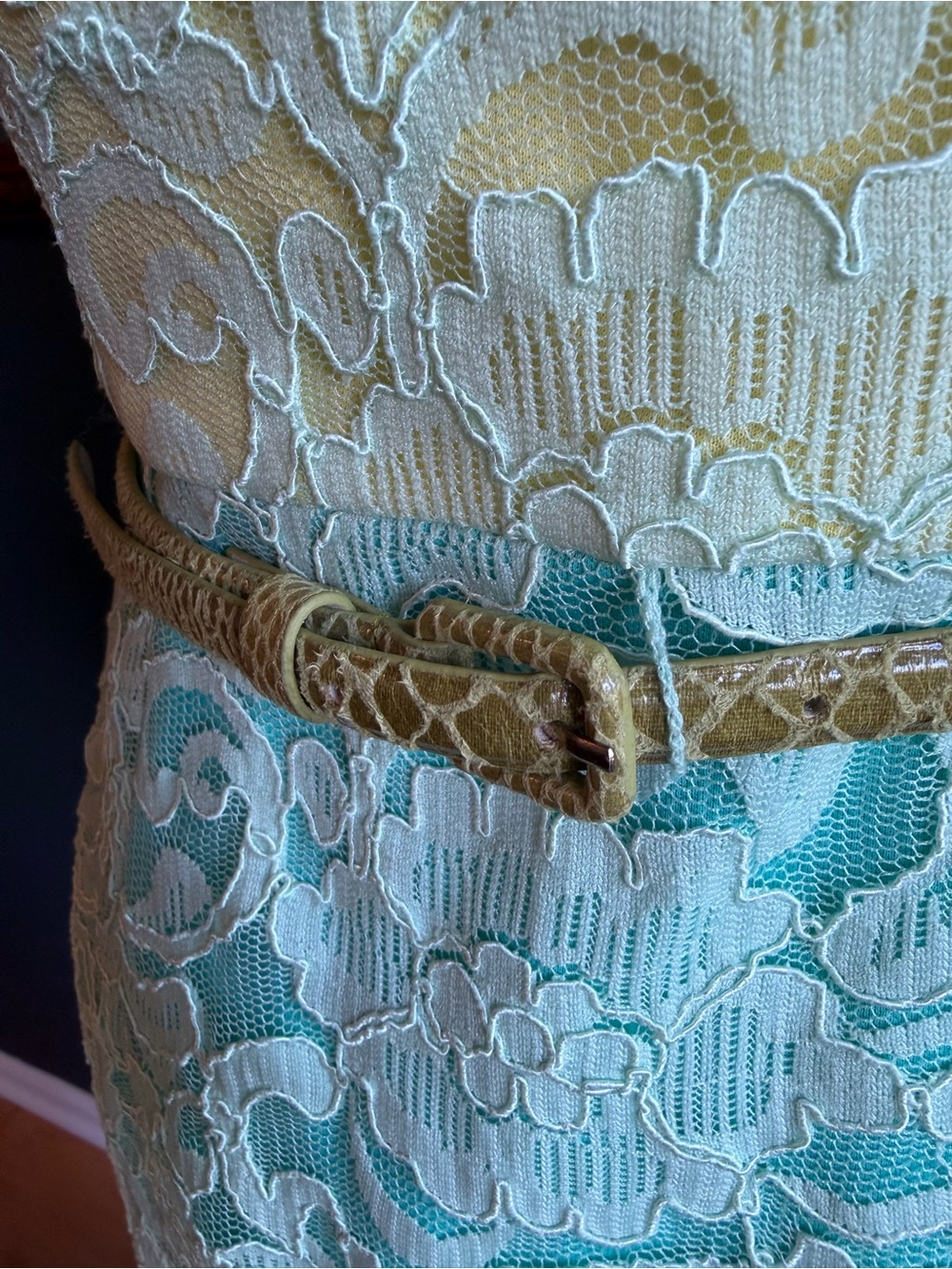 Maggy London Petites, Sleeveless Corded Lace Overlay Sheath Dress - Picture 5 of 10